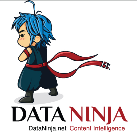 Data Ninja Services